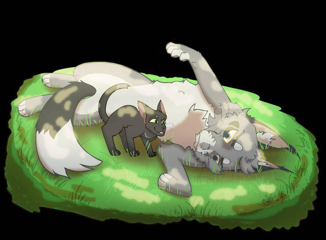 credit: Caitlyn_Drawz